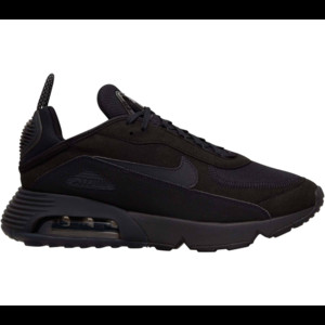 Nike Sportswear Air Max 2090 | DH7708-002