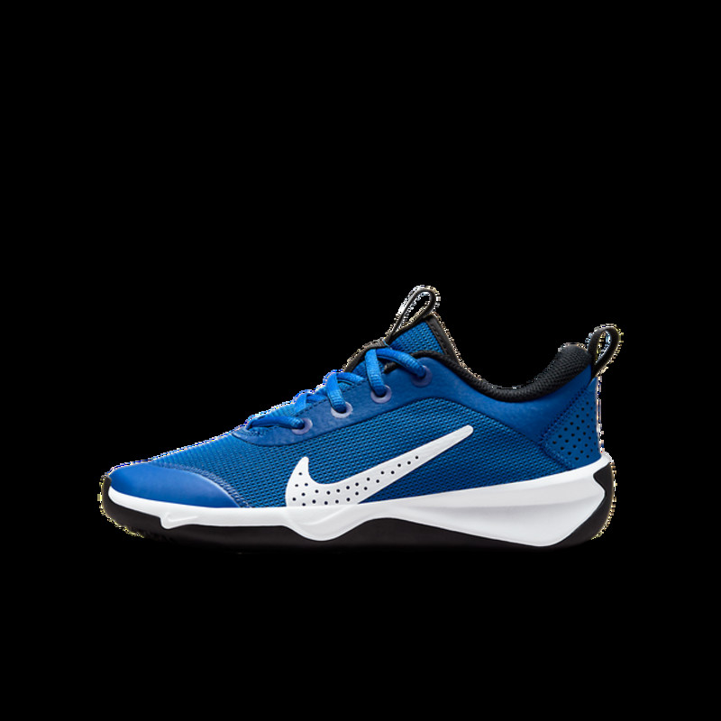 Nike Omni Multi-Court Older Kids' Indoor Court | DM9027-403