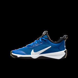 Nike Omni Multi-Court Older Kids' Indoor Court | DM9027-403