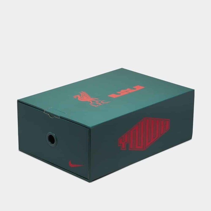 LeBron x Nike Air Max 1 Liverpool | FB8914-100