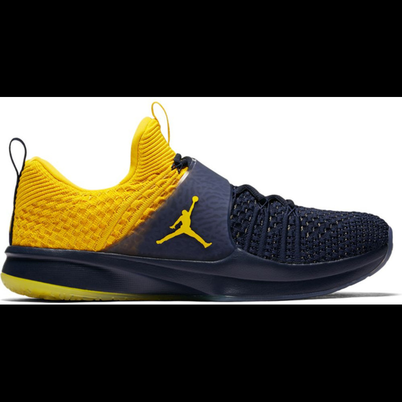 Jordan Trainer 2 Flyknit Michigan | Nike Air Jordan 1 High OG Lost