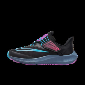 Nike Wmns Air Zoom Pegasus 39 FlyEase SE 'Black Baltic Blue' | FJ2976-001