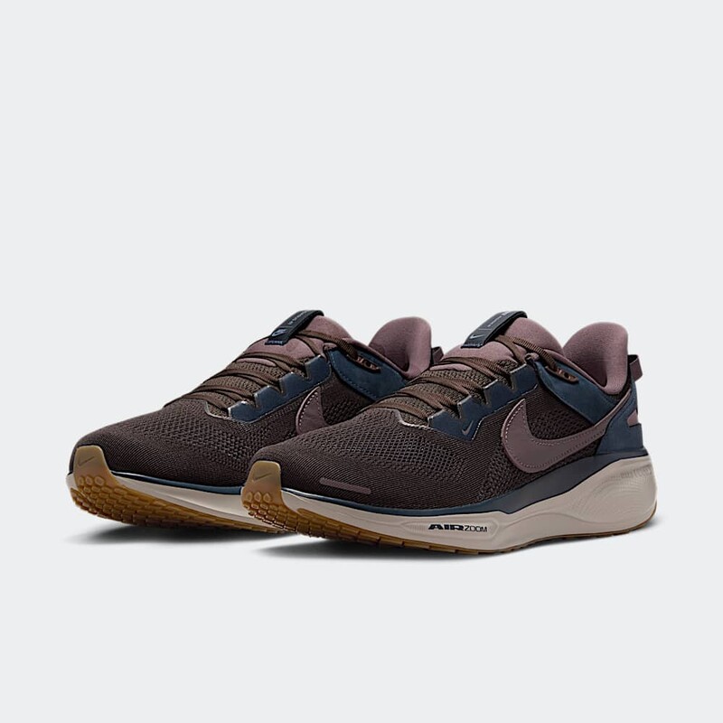 Nike Air Zoom Pegasus 41 "Black Tea" | HQ6025-200