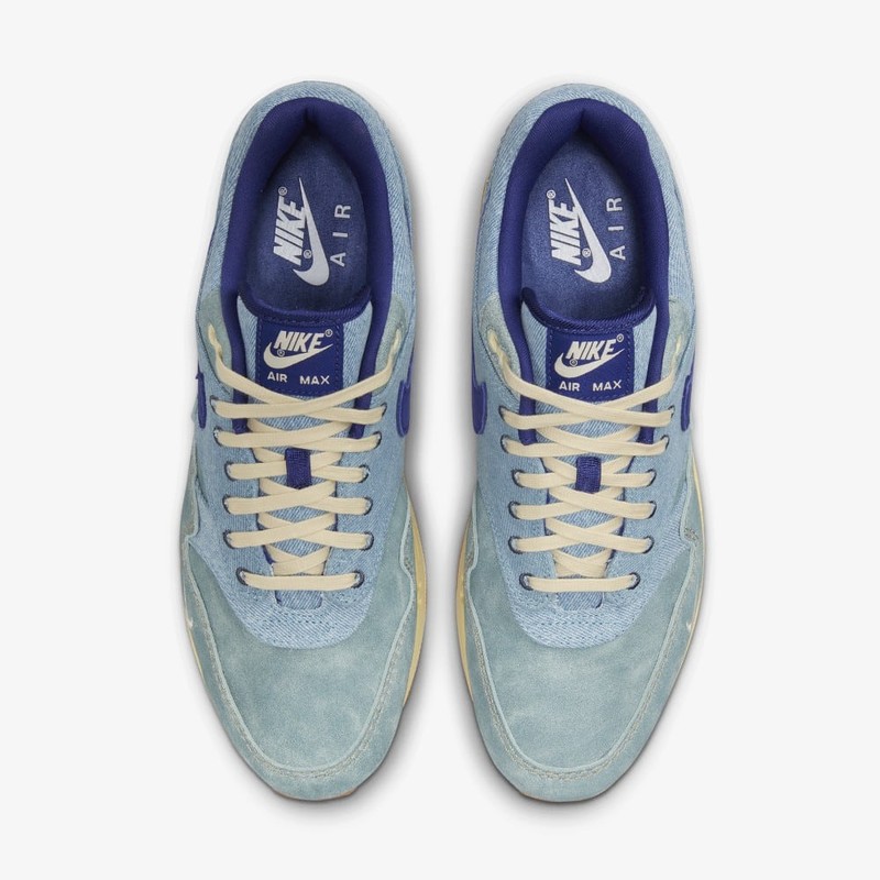 Nike Air Max 1 Premium Mineral Slate | DV3050-300