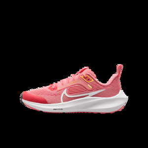 Nike Air Zoom Pegasus 40 | DX2498-600