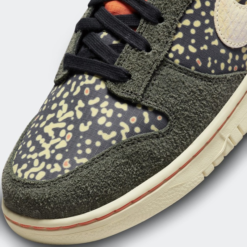 Nike Dunk Low "Rainbow Trout" | FN7523-300
