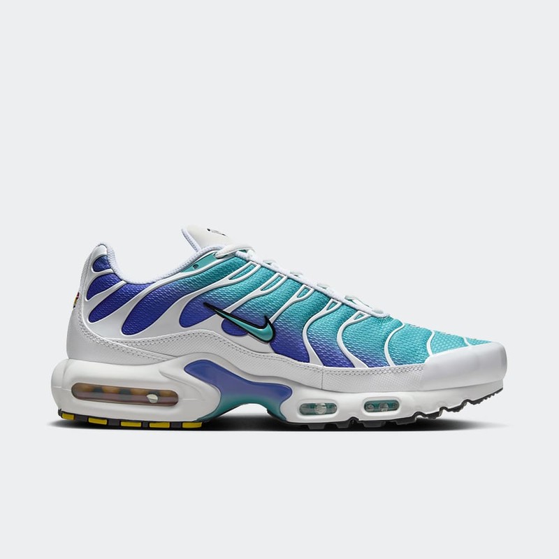 Nike Air Max Plus "Aqua" | DM0032-102