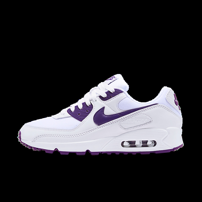 Nike Air Max 90 Summer Pack 'Court Purple' | CT1028-100