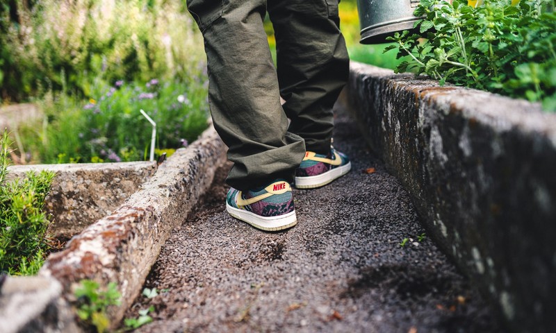 Nike Dunk Low SP Lemon Wash | CZ9747-900