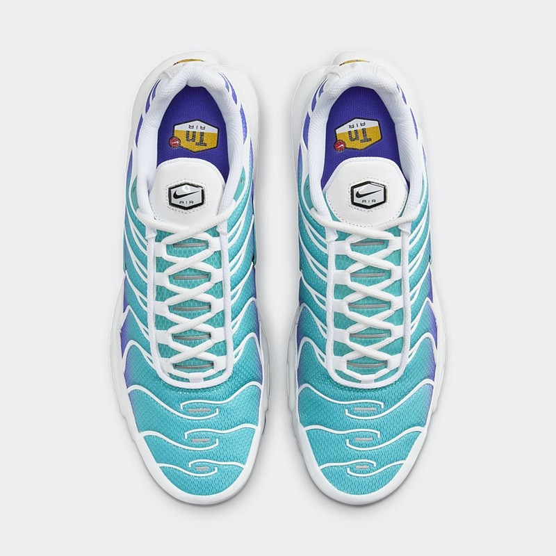 Nike Air Max Plus "Aqua" | DM0032-102