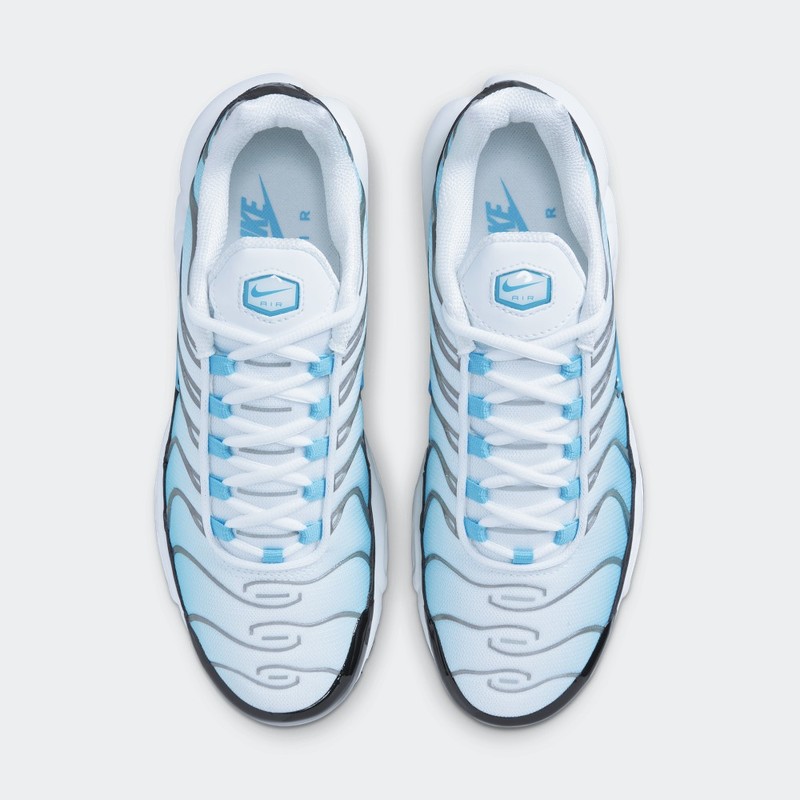 Nike Air Max Plus Baltic Blue | FD9751-100