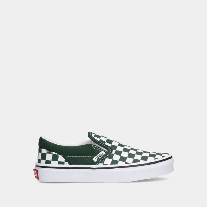 Vans Classic Slip-On Vans Ua Authentic Mens Shoes | VN0005WWBD61