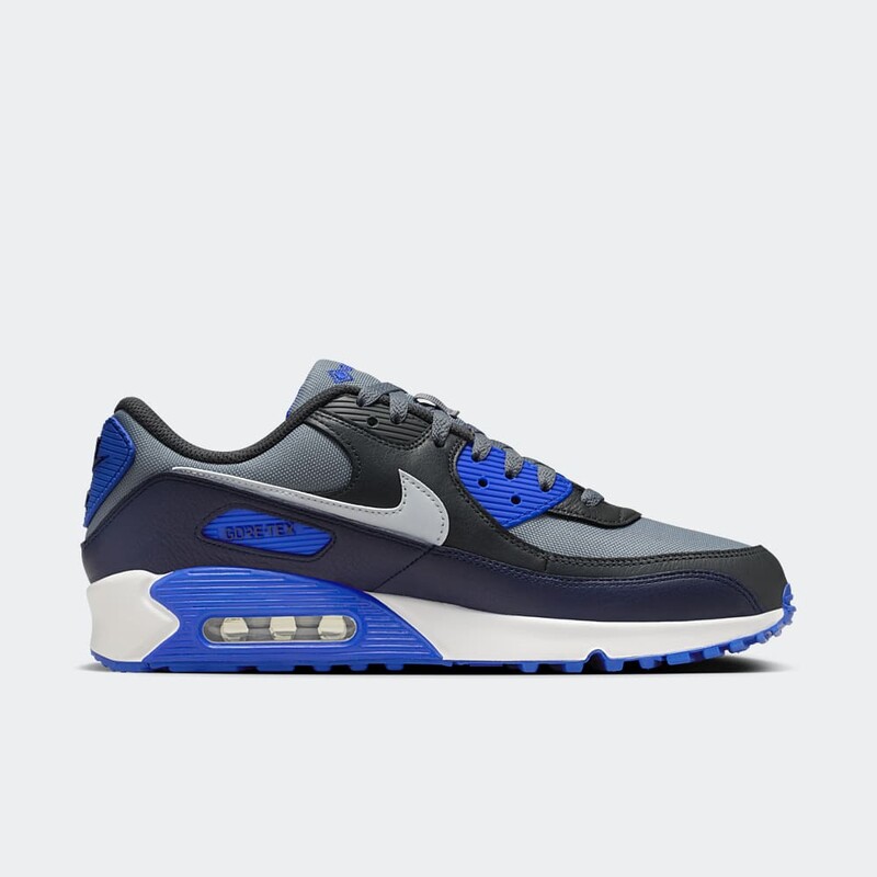 Nike Air Max 90 GTX "Obsidian" | FD5810-003