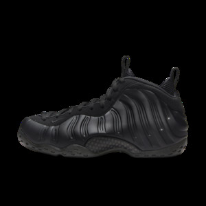 Nike Air Foamposite One "Anthracite" | FD5855-001