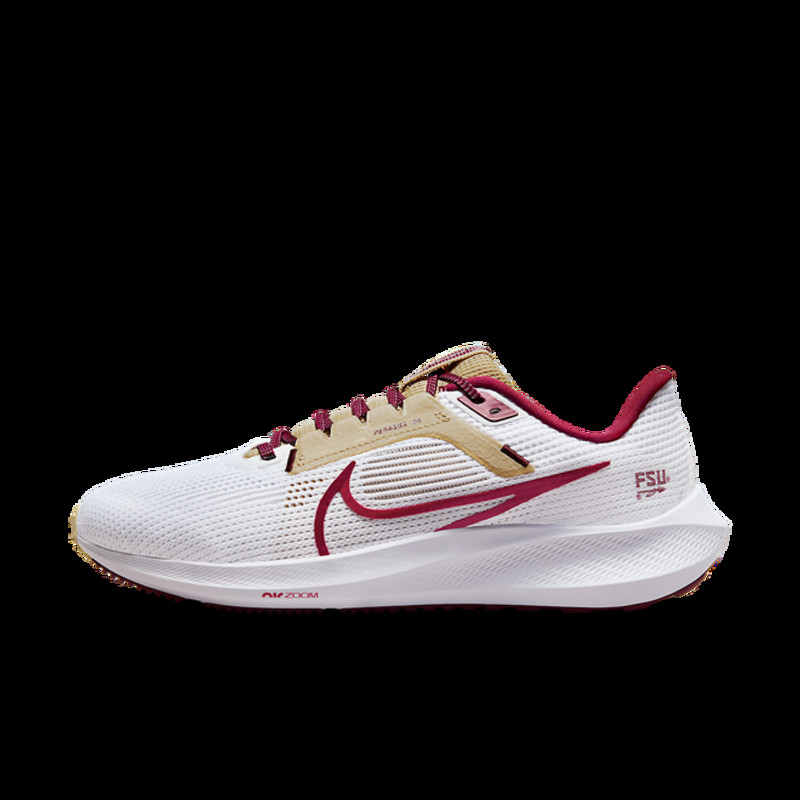 FSU, Florida State Nike Pegasus 40 Shoe