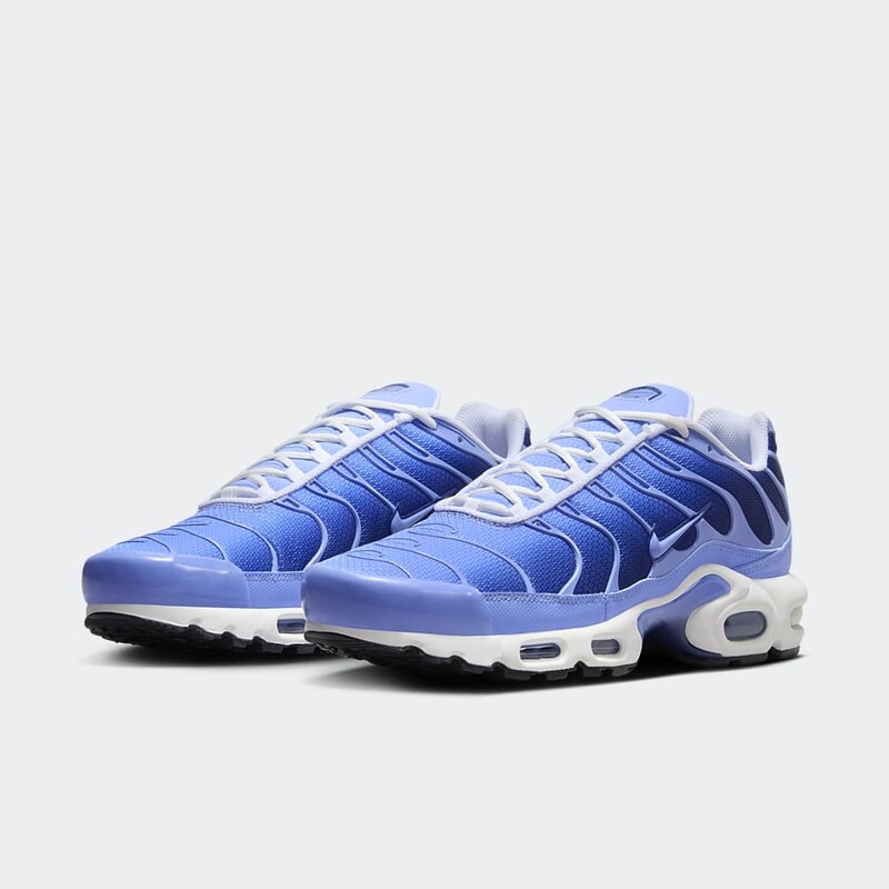 Nike Air Max Plus "Royal Pulse" | DM0032-403