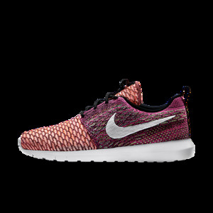 Nike Flyknit | 677243-100