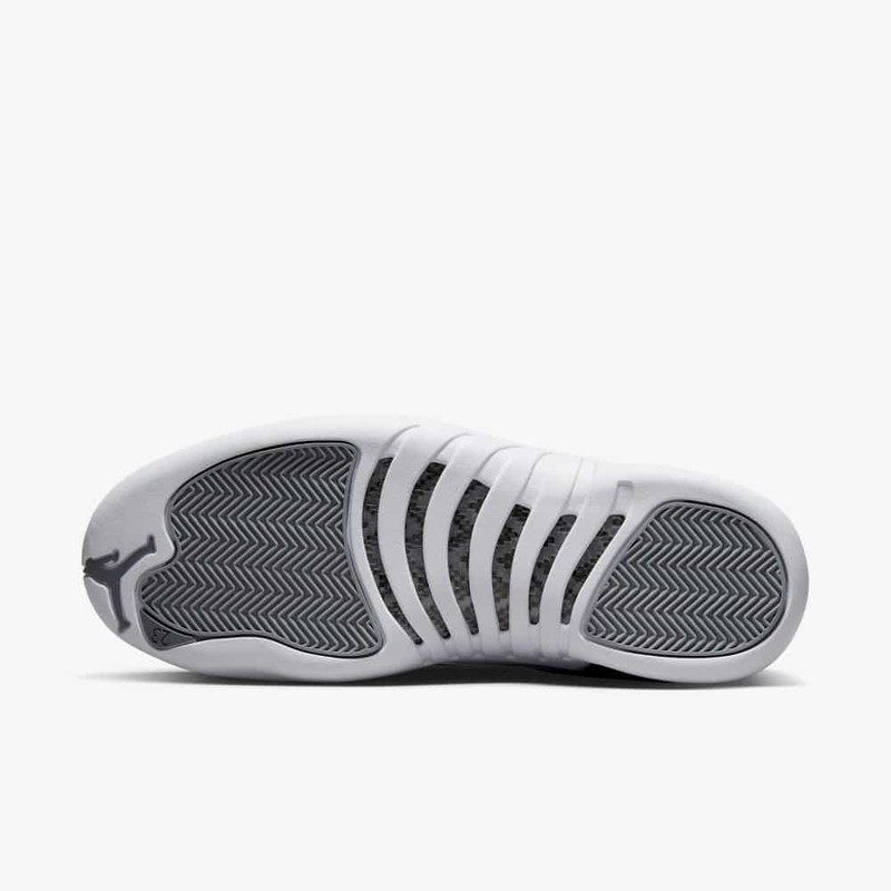 Air Jordan 12 Stealth | CT8013-015