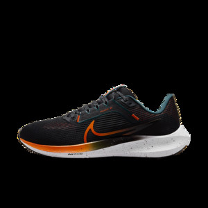 Nike Pegasus 40 | FQ8723-010