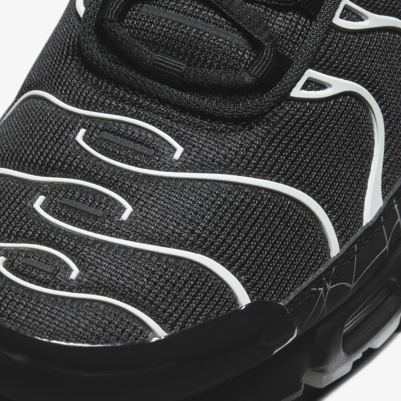 Nike Air Max Plus TN Spider Web | DD4004-001