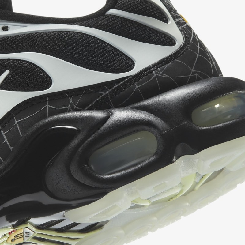 Nike Air Max Plus TN Spider Web | DD4004-001