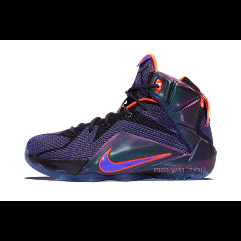 Kids hot sale lebron 12