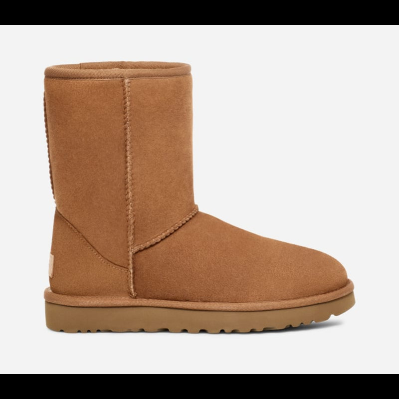 UGG Classic Short Boot Men Brown | 5800-CHE