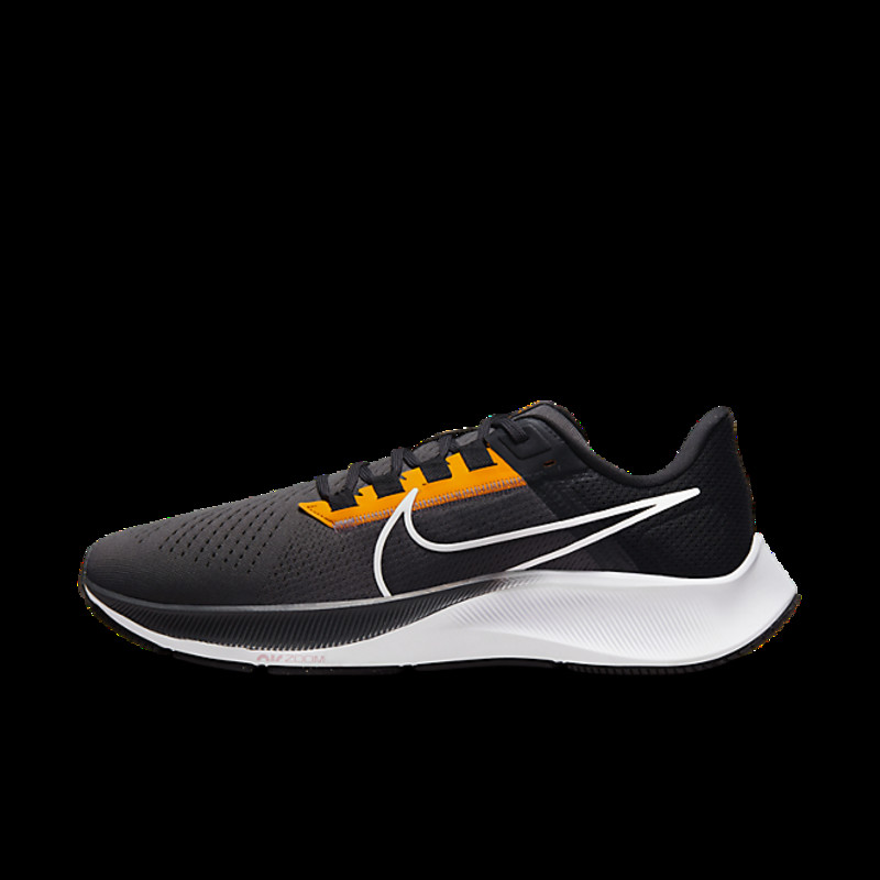 Nike Air Zoom Pegasus 38 | CW7356-010