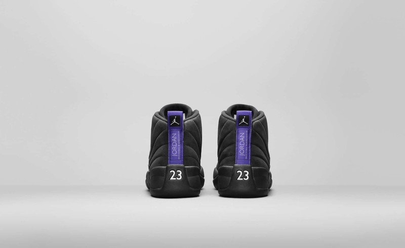 Air Jordan 12 Dark Concord | CT8013-005