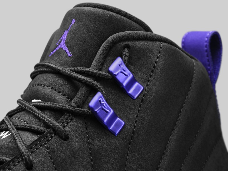 Air Jordan 12 Dark Concord | CT8013-005