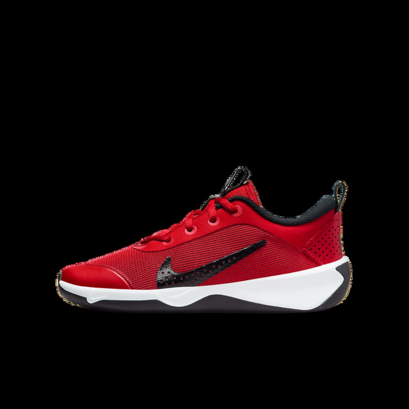 Nike Omni Multi-Court Big Kids' Indoor Court | DM9027-601