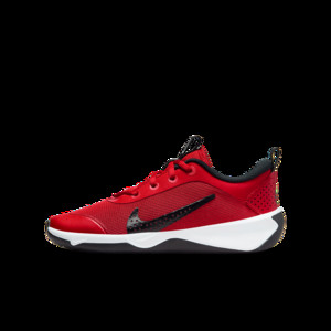 Nike Omni Multi-Court Big Kids' Indoor Court | DM9027-601