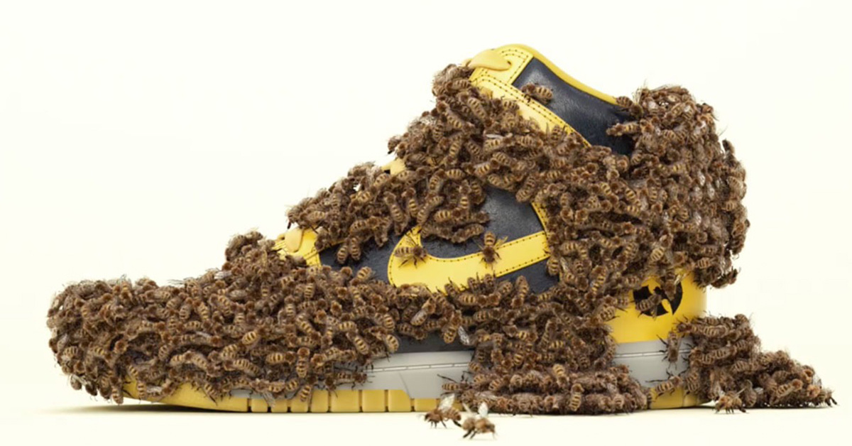 Nike bringt den seltenen "Wu-Tang" Dunk High zurück