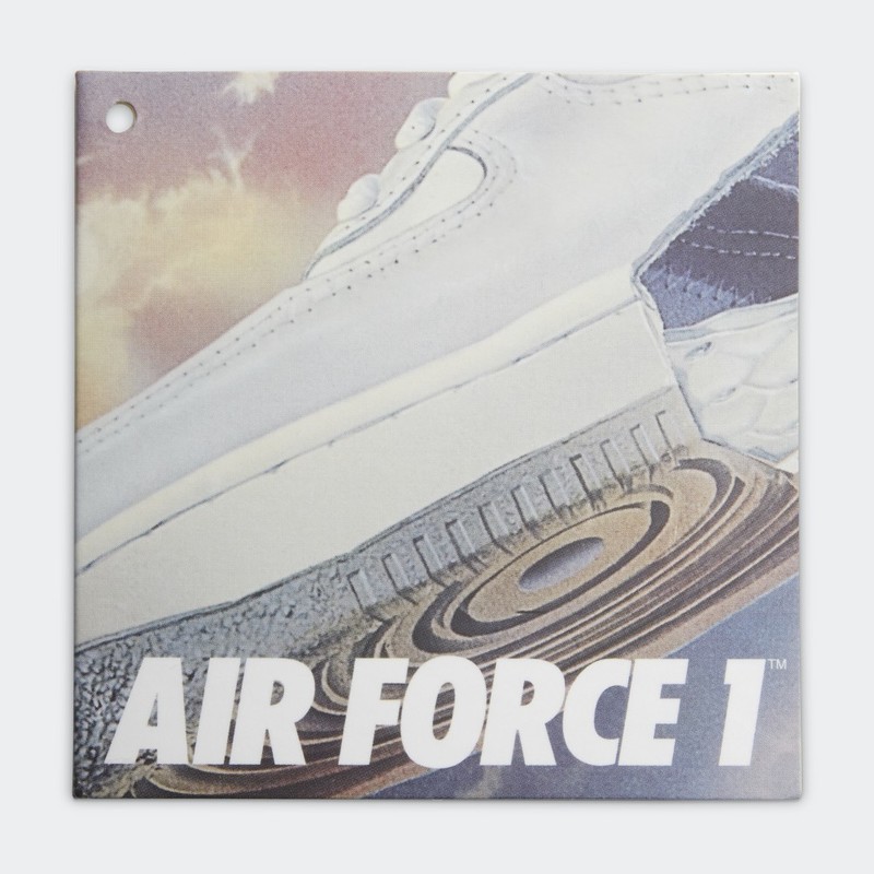 Nike Air Force 1 COTM Snakeskin | DZ4711-100