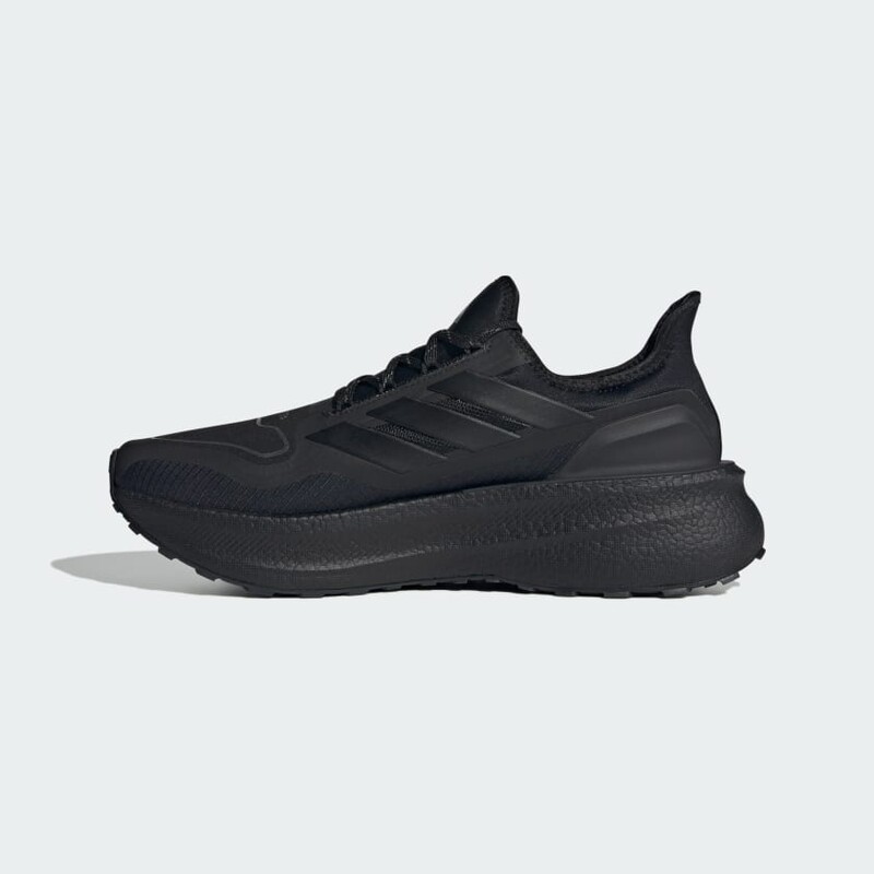 adidas Ultraboost 5 GTX "Black" | JI1384