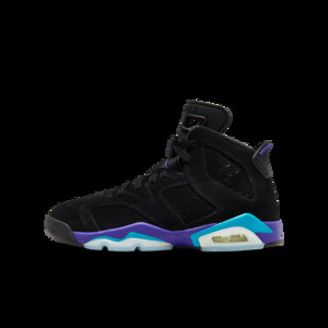 Air Jordan 6 Retro Aqua (GS) | 384665-004