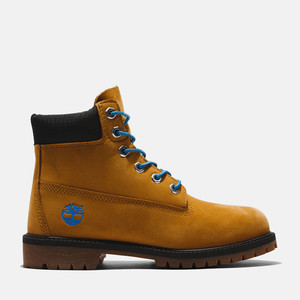 Timberland Premium 6 Inch Boots | TB0A5T51231