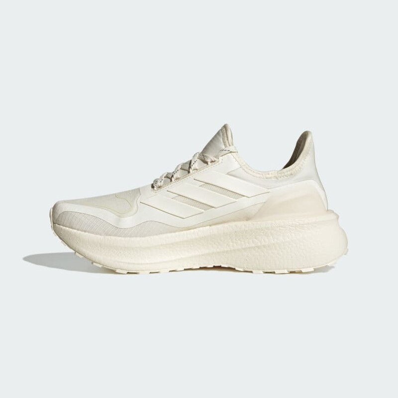 adidas Ultraboost 5 GTX "Off-White" | JI1387