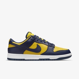 Nike Dunk Low Michigan | DD1391-700