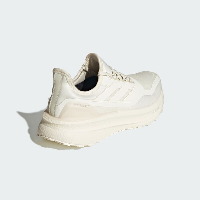 adidas Ultraboost 5 GTX "Off-White" | JI1387