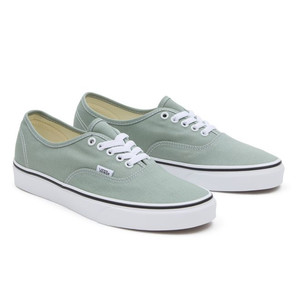 VANS Color Theory Authentic | VN000BW5CJL