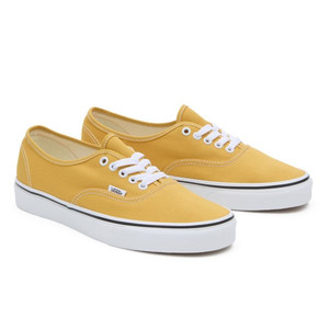 VANS Color Theory Authentic | VN000BW5LSV