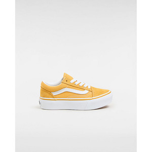 Vans Old Skool Platform | VN0A3TL3LSV