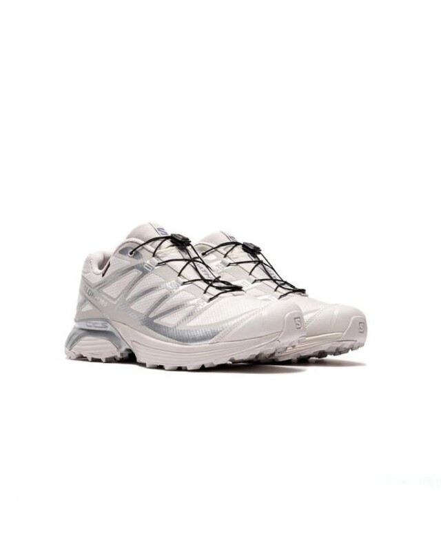 Salomon XT-Pathway GTX "Lunar Rock" | L47730900