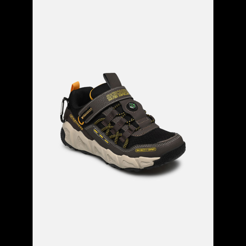 skechers jordans