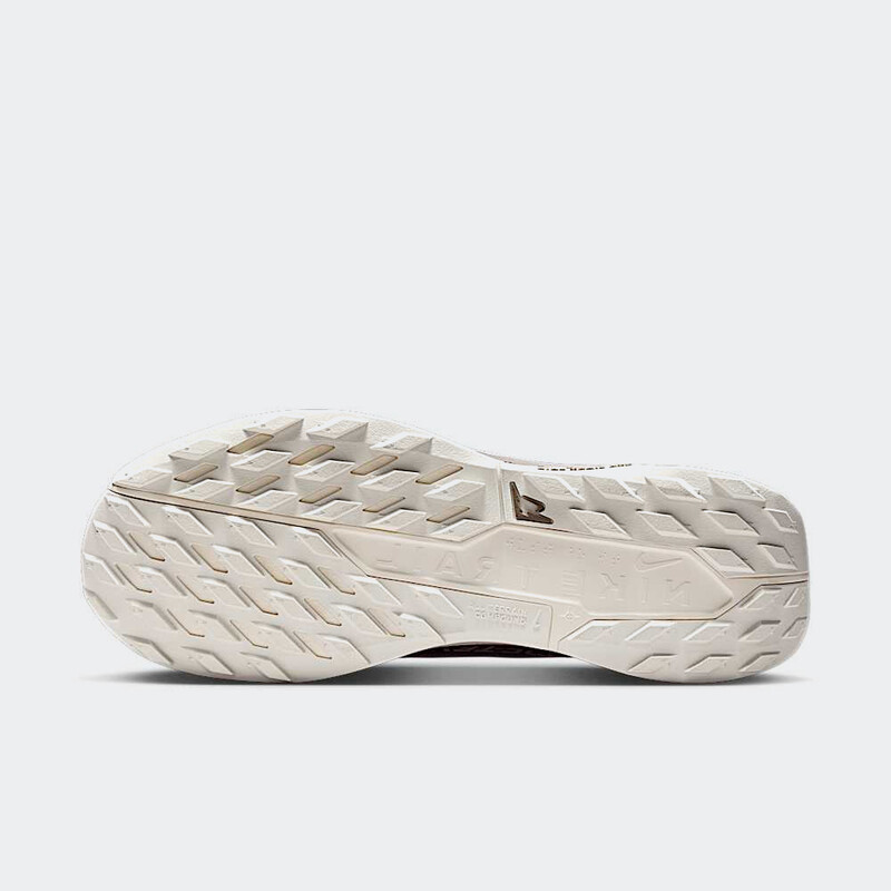 Nike Pegasus Trail 5 Gore-Tex SP "Mink Brown" | HQ7494-200
