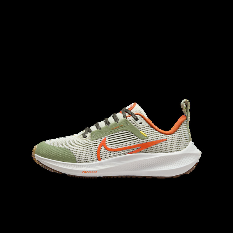 Nike Pegasus 40 Big Kids' Road | FV3645-381 | Grailify