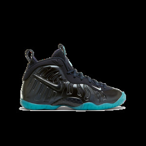 Nike Air Foamposite Pro Dark Obsidian (GS) | 644792-401