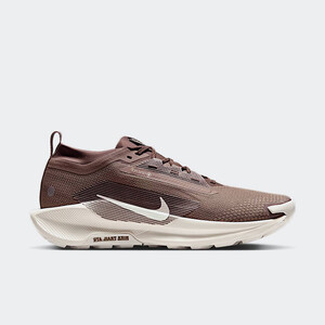 Nike Pegasus Trail 5 Gore-Tex SP "Mink Brown" | HQ7494-200