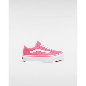 Vans Old Skool Platform | VN0A3TL3G3X